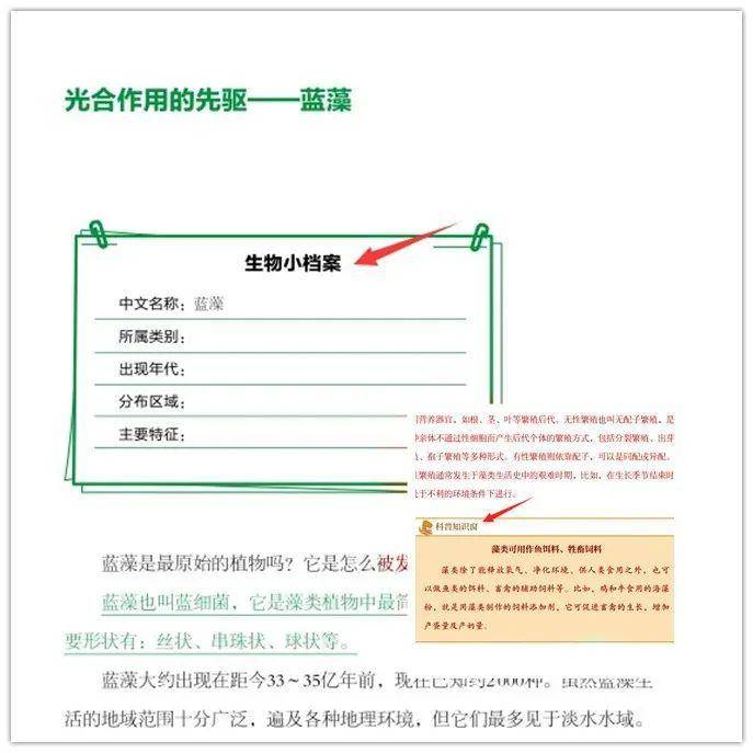最新资讯到底该怎么看？我用Golang写了套方法论